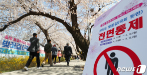 전면 통제 안내문 배치된 여의서로 벚꽃길