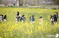 산동교친수공원에 유채꽃 만발