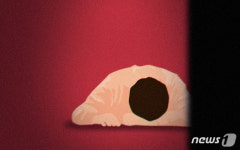 익산서 흉가 체험 하던 유튜버, 백골 시신 발견