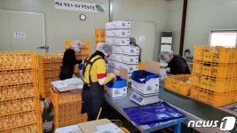 [귀거래사]새송이버섯 6년만에 연매출 15억…뚝심으로 버틴 성공담