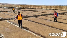 농사일 한창인 북한 사리원시 정방협동농장