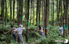 산림치유원, 경북지역 사회복지사 대상 심리회복 프로그램 운영