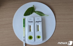 천안시, 원예작물 바이러스 감염 진단 서비스 시행