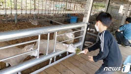 충주 수안보에 곤충·동물과 교감 특별한 체험농장