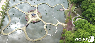 초록 상림숲과 연꽃단지