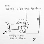[해피펫툰]수의사가 동물병원 출근하는 이유…보호자도 공감