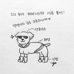 [해피펫툰]수의사가 동물병원 출근하는 이유…보호자도 공감