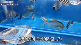 수산시장 신종 저울 사기…현직 사장이 전하는 호구 탈출 3계명