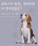 [펫카드]반려동물이 혼자 있어요 코로나19 확진·격리시 대처법