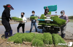 첫 모내기는 새터민과 함께