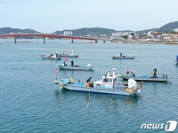 경남 통영·거제 견내량 돌미역 채취