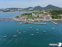 경남 통영·거제 견내량 돌미역 채취
