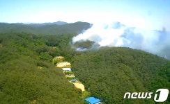 경북 고령·안동서 실화·부주의 산불 잇따라