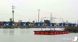 숙박시설 방갈로, 창고로 신고…인천 중구청, 낚시업체 특혜 의혹