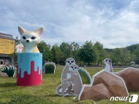 서울대공원 입구숲 지나면…레서판다, 반달가슴곰, 사막여우