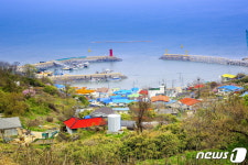 정글의 법칙도 반했다…공중파 탄 야생화 천국 안산 풍도