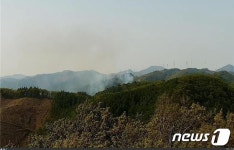 태백 하사미동 풍력발전단지 인근 산불 발생
