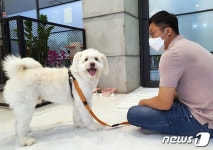 [바르개] 유기견·가족 갈등도 줄인다…강아지 배변훈련 꿀팁