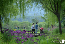 휴일 즐기는 시민들