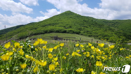 산림청, 점봉산 곰배령 제한적 탐방제…산림유전자원 보호