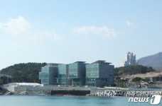 한국수산자원공단, 쥐노래미 종자 7만마리 포항 바다에 방류
