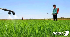 북한 전국이 총동원돼 모내기를 최적에 끝내자