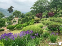 개인이 20년 동안 가꾼 숲…충주댐 옆 드림숲 개방 화제