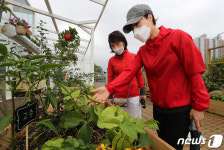 도시농업과 힐링