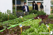 도시농업으로 힐링 하세요