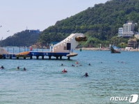 송도해수욕장에 80명 봉사자 떴다…대규모 수중·연안 정화활동 펼쳐