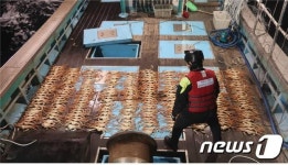 6월부터 대게·꽃게·낙지·참홍어·펄닭새우 5개 어종 금어기 시작