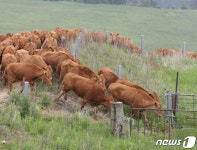 초지를 향한 전진