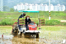 제천시, 의림지뜰 친환경농업단지 모내기 한창…우렁이 농법