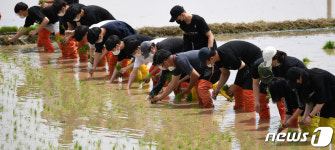 손 모내기 하는 아림고 학생들