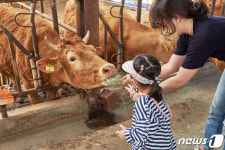 보고, 느끼고, 배우는 경기도 체험명소는 어디