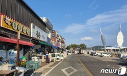 책없는 북카페, 바다엔 쓰레기…한국의 나폴리 마량항의 추락