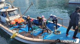 한국수산자원공단, 제주 해역에 전복 종자 5만2000여 마리 방류