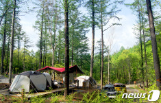 최고 인기 국립자연휴양림 객실은 변산 위도항…131대 1