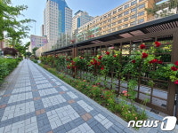 양천구, 초등학교 4곳에 녹색 통학로 숲길 조성