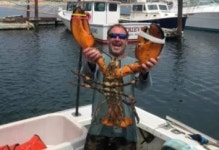 혹등고래가 삼켰다가 뱉어낸 50대 어부 입 근육에 쪼여 죽을 뻔