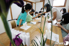 직접 만드는 창포 샴푸