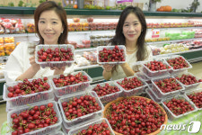 농협 하나로마트, 경북산 체리 맛은?