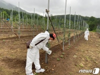 거창군, ‘과수화상병’ 사전방제조치 이행 행정명령 발령