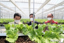 권익현 부안군수, ICT 스마트팜 상추 재배 시설 방문