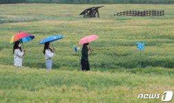 [오늘의 날씨]대전·충남(25일, 금)… 5~20㎜ 소나기, 낮 최고 29도