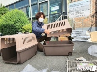 마당개 이동장 설치 중인 한정애 환경부 장관