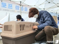 마당개 중성화 봉사 중인 한정애 환경부 장관