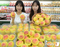 남원에서 출하된 그린 황도