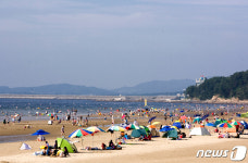 충남 해수욕장 내달 3일 일제히 개장…수도권 인파 방역 비상
