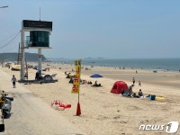 충남 해수욕장 내달 3일 일제히 개장…수도권 인파 방역 비상